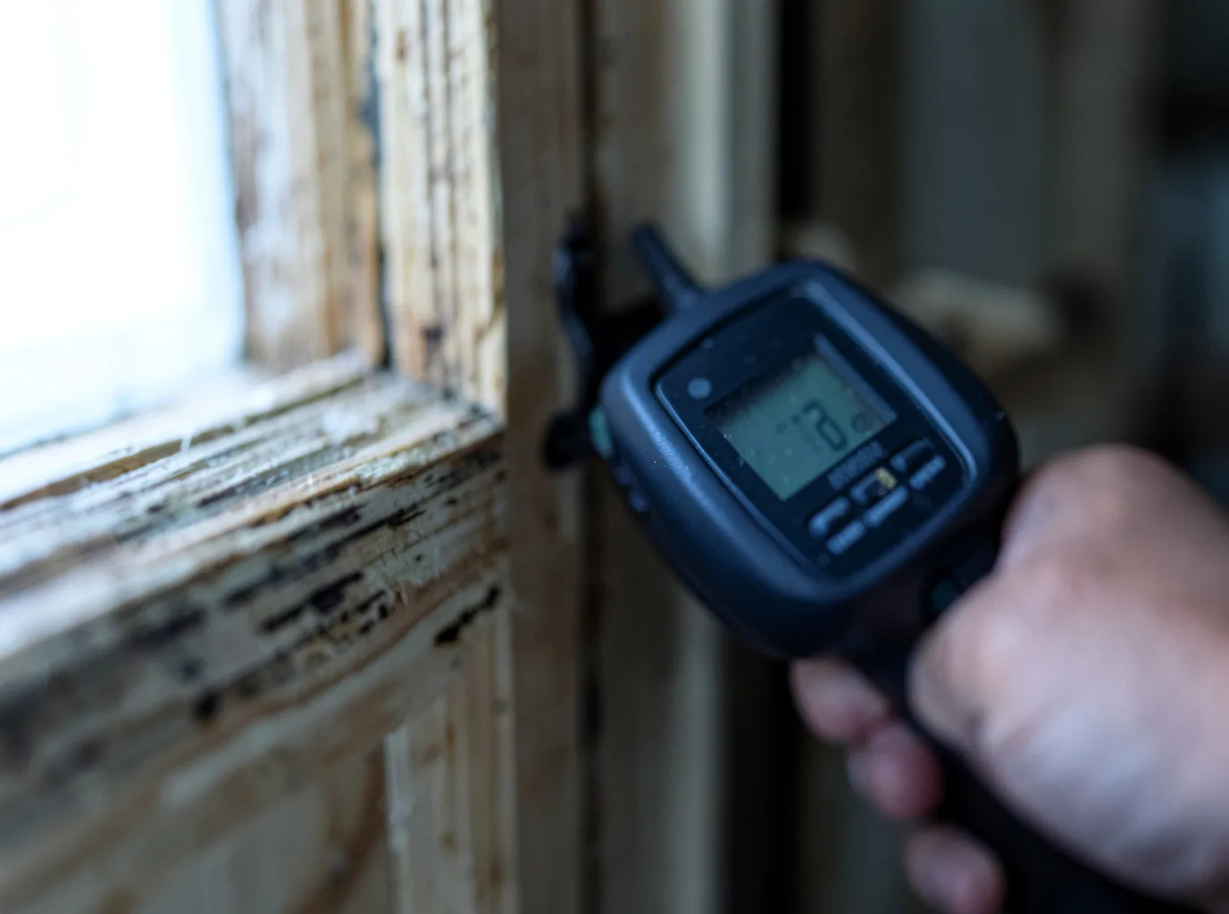Moisture Inspection And Documentation in Dalton, MA